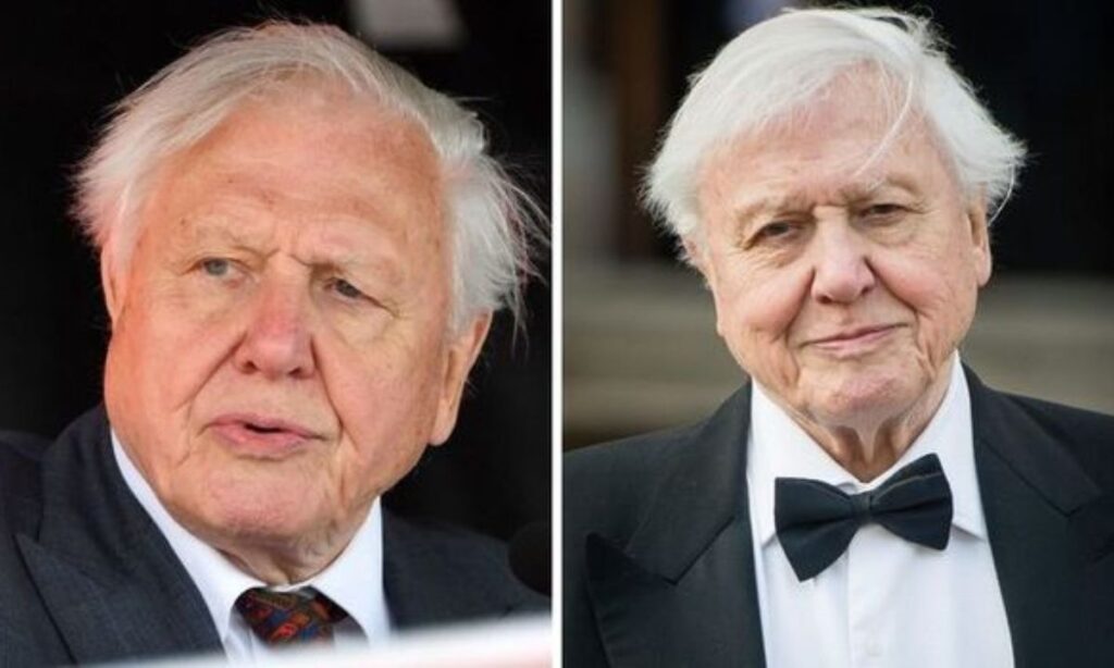 robert-attenborough-early-life-and-family-background